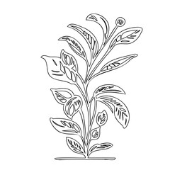 Stylized botanical illustration with outlined foliage on a stark white background