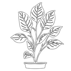 Elegant houseplant outline illustration for design projects and creative artworks