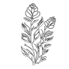 Botanical line drawing: elegant floral arrangement with intricate leaf details