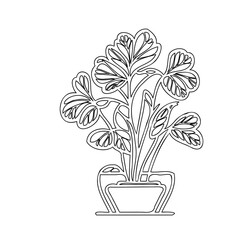 Minimalist outline drawing presenting a decorative potted foliage plant