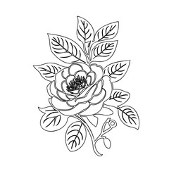 Delicate floral design with detailed petal and leaf linework, suitable for various creative projects