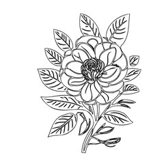 Elegant monochrome botanical illustration featuring a blooming flower with foliage