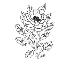 Elegant botanical illustration of a blossoming flower with detailed leaves