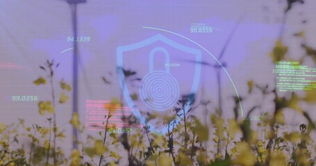 Turquoise security shield glowing above yellow field while turbines spinning and code floating - Powered by Adobe