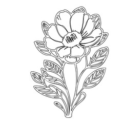 Elegant floral outline illustration, creating a harmonious botanical design