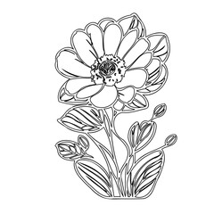 Elegant black and white floral illustration showcasing a detailed flower design