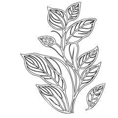 Elegant botanical illustration of foliage with delicate line work and patterns