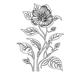 Delicate blossom botanical illustration, detailed outlines with elegant flower petals