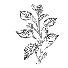 Monochrome botanical illustration featuring elegantly contoured foliate design