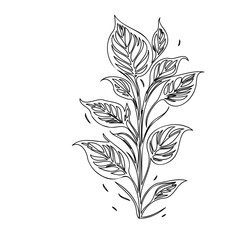 Elegant botanical illustration featuring stylized leaves in a delicate line art design