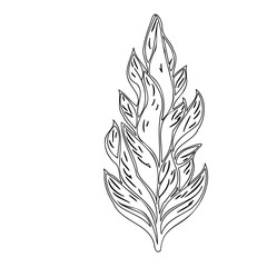 Elegant linear botanical illustration evokes the beauty of floral nature