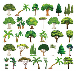 Assorted tree species and types in a graphic compilation