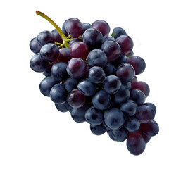 Fototapeta premium Fresh ripe dark grapes bunch isolated on black background healthy eating fruit antioxidant nutrition 100