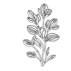 Elegant minimalist botanical illustration with textured petals and stylized stems