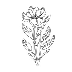 Elegant floral outline drawing showcasing stylized petals and foliage design