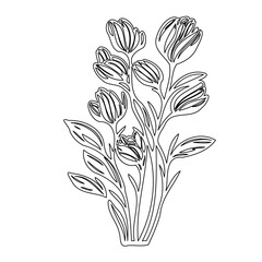 Elegant floral line art depiction, showcasing the delicate beauty of tulips in a modern style