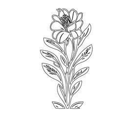 Elegant floral line art illustration of blooming blossom with foliage decoration