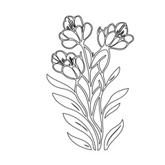 Elegant floral line art design featuring abstract tulip-like blossoms and foliage