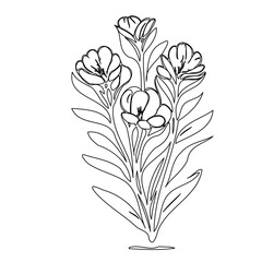 Elegant monochrome floral arrangement illustration with delicate line art detailing