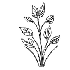 Elegant botanical sketch: A serene black and white representation of foliage
