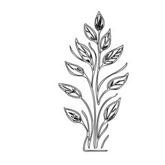 Elegant botanical illustration featuring stylized foliage on a stark white backdrop