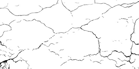 Obraz premium featuring a white background with a dry, cracked pattern.White cracked texture background, The white background adds a rustic feel.