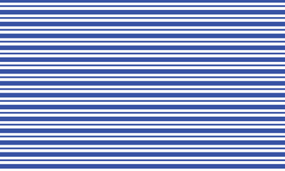 Seamless pattern. Stripes on white background. Striped diagonal pattern for printing on fabric, paper, wrapping, scrapbooking, websites Background with slanted lines Vector illustration .EPS 10 . 
