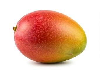 A single ripe mango with a blend of red yellow and green skin on a white background in a studio shot