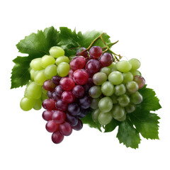 Fototapeta premium Fresh grapes bunch green red purple grapes healthy fruit antioxidant rich delicious grapes isolated background 100