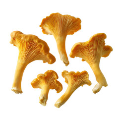 Stock photo of fresh chanterelle mushrooms on black background for gourmet food and healthy eating ideas