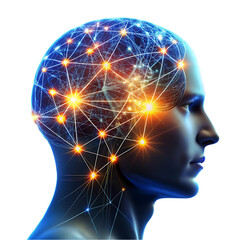 Obraz premium Human Brain: Neural Network & Cognitive Power