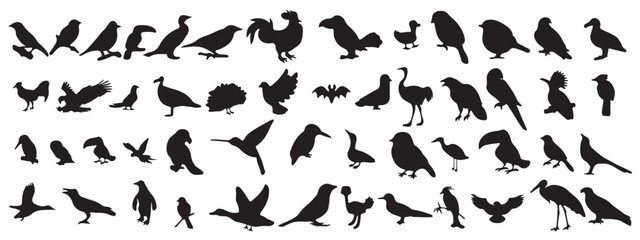 Birds silhouettes in various poses - Silhouettes of birds in a variety of poses including flying, perched, and gliding actions