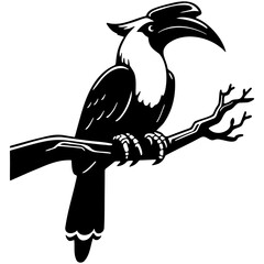 Obraz premium Rhino Hornbill Illustration.