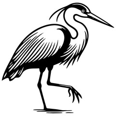 Obraz premium Heron Sketch Drawing.