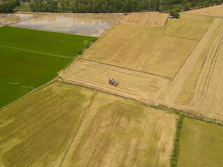 Drone aerial view shows rice harvesting using agricultural machinery to save labor and time...