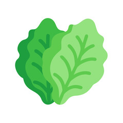 Lettuce or Leafy Salad Icon Design