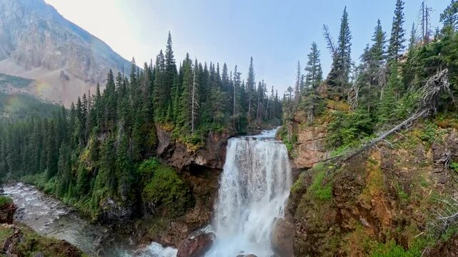 From Flowers to Dawn Mist Falls In Glacier National Park