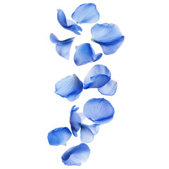 A vertical cascade of delicate blue flower petals against a stark black backdrop in a studio setting