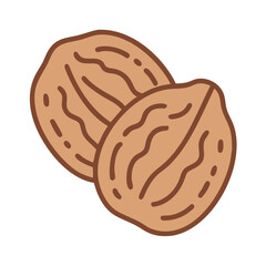 Walnuts with Shell Texture Icon Design