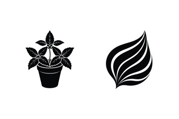 Black And White Vector Illustration Of Potted Plant And Stylized Leaf Isolated