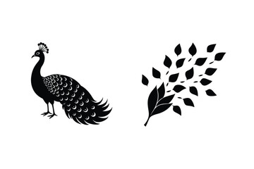 Elegant Peacock Silhouette With Ornamental Leaves On White Background Graphic Design