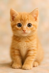 Obraz premium Meet the cutest little orange fluffball This playful kitten is ready to steal your heart with its sparkling eyes and charming pose. Who else loves a bundle of ginger joy