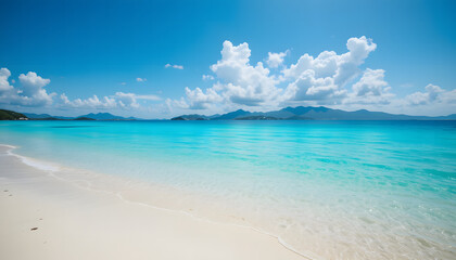 tropical beach with blue sky