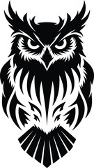 Obraz premium wings of the eagle