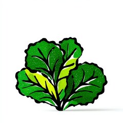 Obraz premium Fresh Green Cabbage Leaves Healthy Food Illustration Organic Vegetable Farm Produce