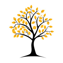 Obraz premium Simple tree with yellow leaves isolated on transparent background