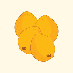 Loquat fruit flat design cartoon icon illustration