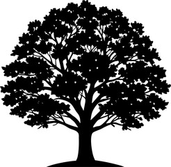 Obraz premium silhouette of tree
