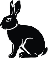 Obraz premium black rabbit isolated on white