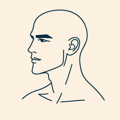 bald man line art vector image